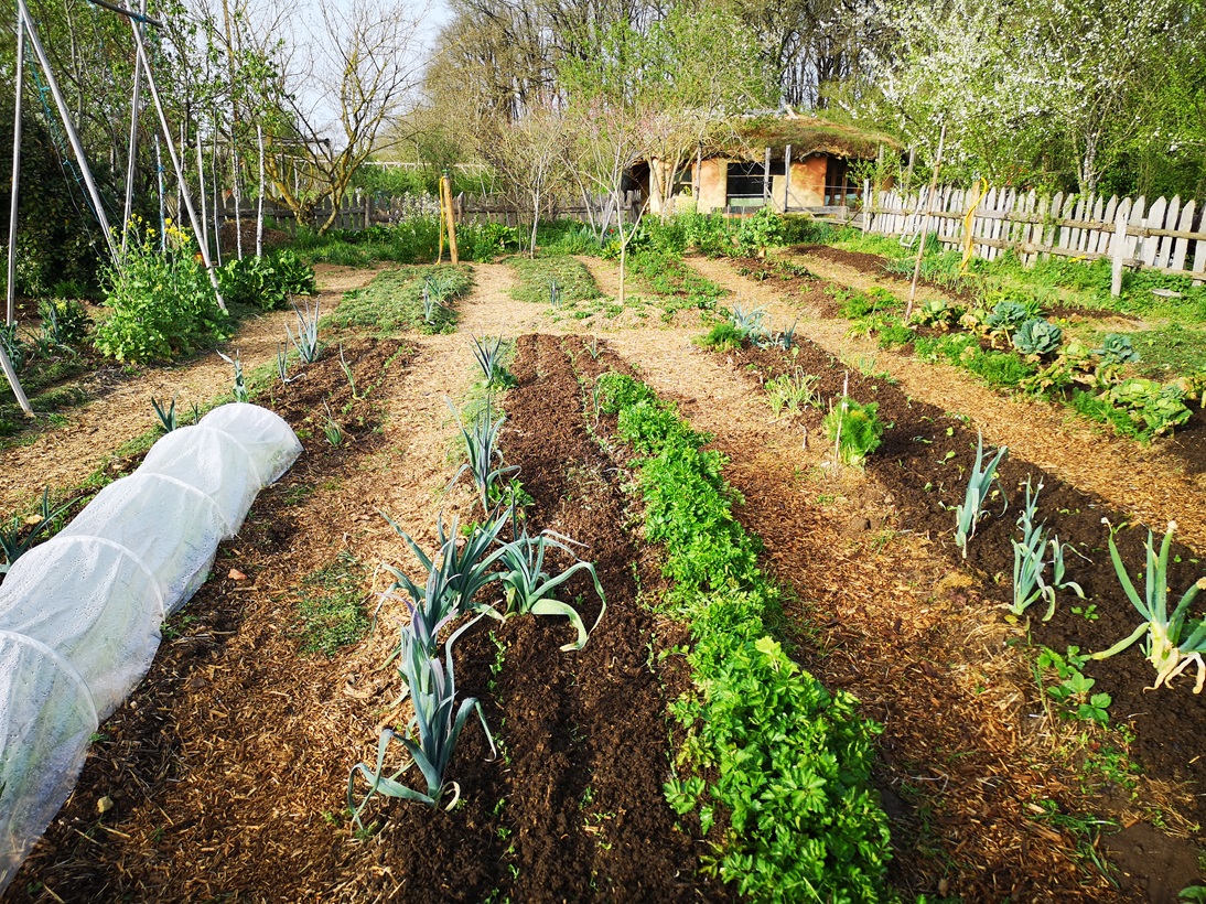 Jardin permacole — Cours Certifié de Design en Permaculture CCP à Champagné-Saint-Hilaire