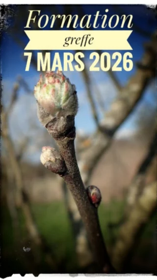 Jardinage et greffe — Terre Paille