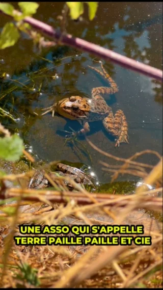 Permaculture et autonomie — Terre Paille