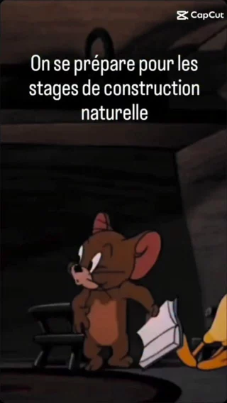 Construction en terre et paille — Terre Paille